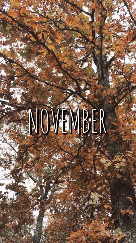 november aesthetic wallpaper